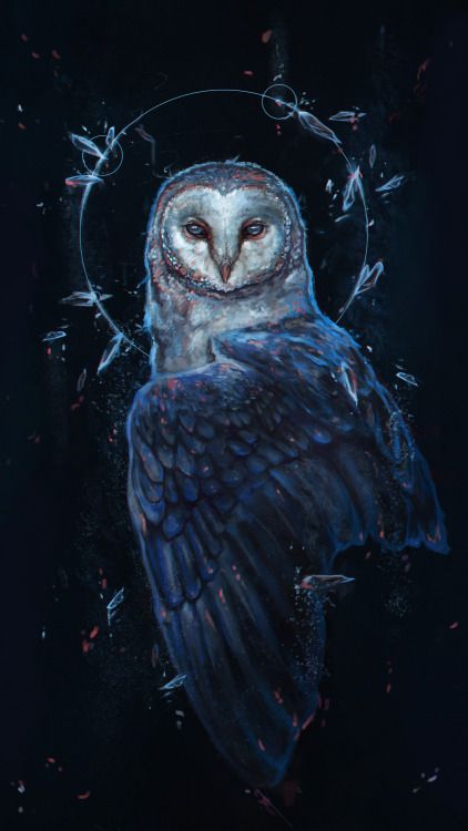 Morwen - Owl